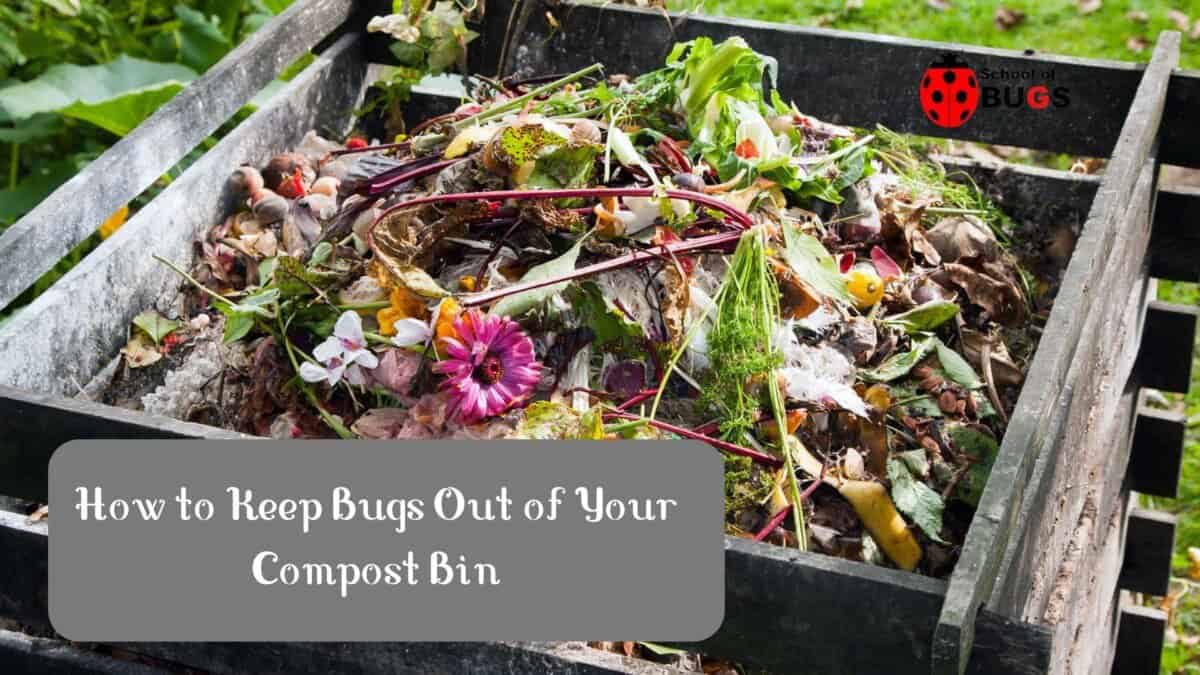 How To Keep Bugs Out Of Your Compost Bin 