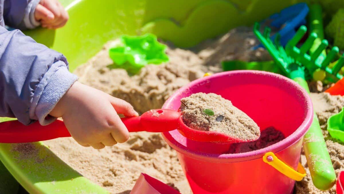 How to Keep Bugs out of Your Sandbox – School Of Bugs