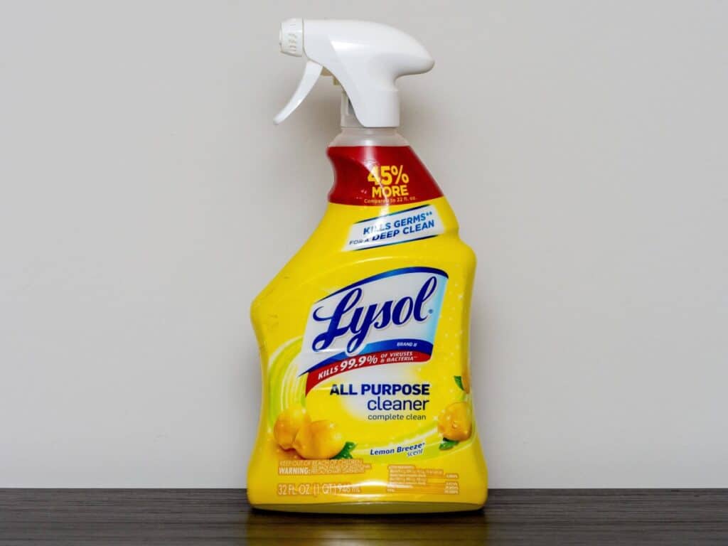 Does Lysol Kill Fly Eggs