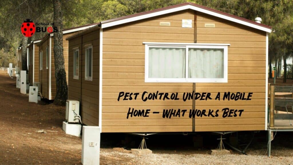 Pest Control Under a Mobile Home – What Works Best – School Of Bugs